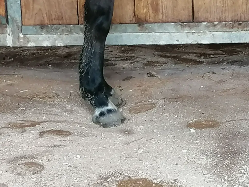 WieWiese-Soft&Dry (3).webp