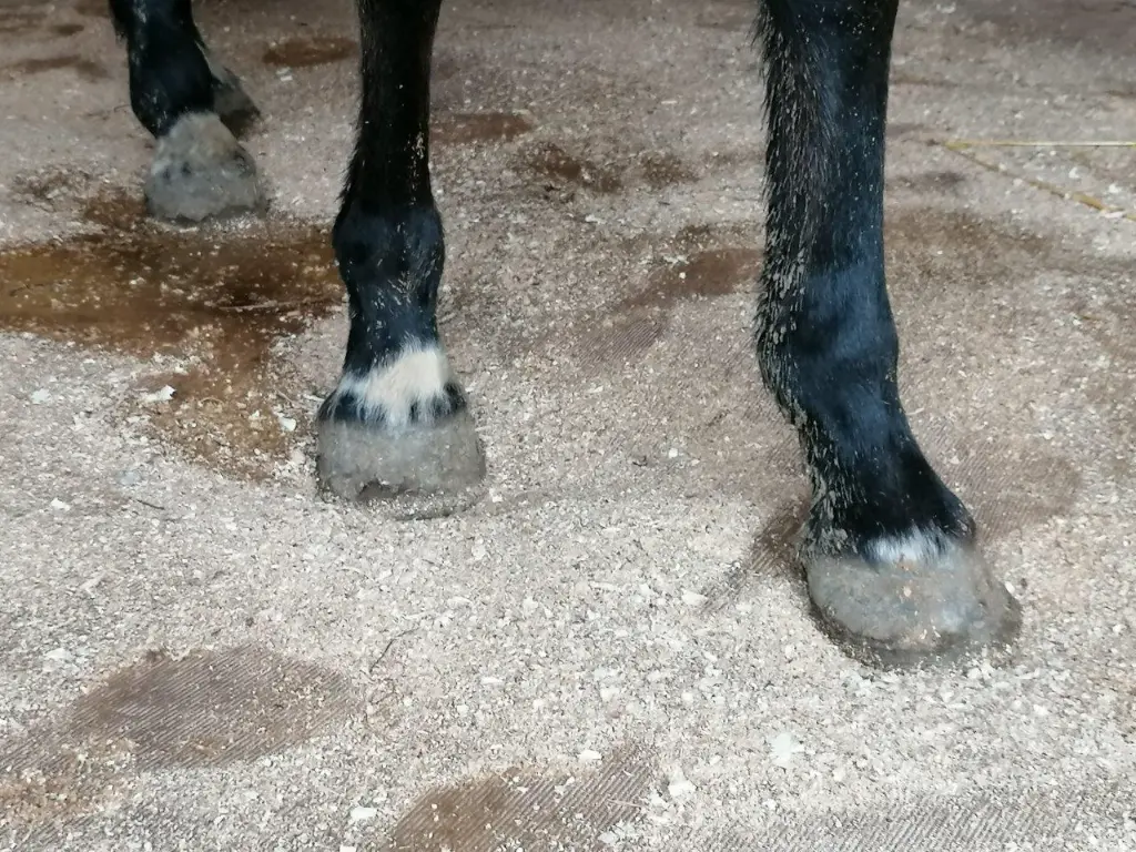 WieWiese-Soft&Dry (4).webp