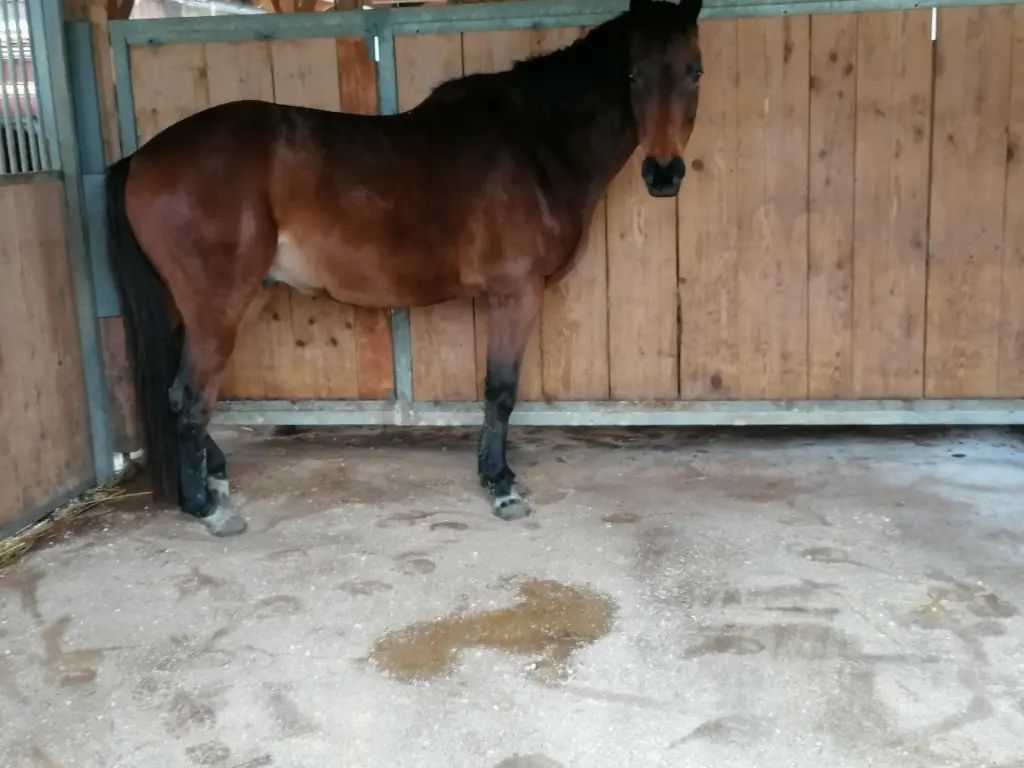 WieWiese-Soft&Dry (8).webp