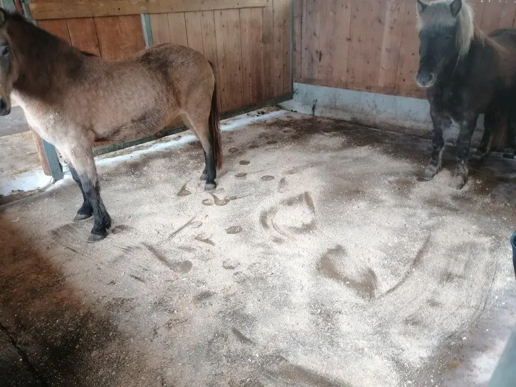 WieWiese-Soft&Dry (1).webp