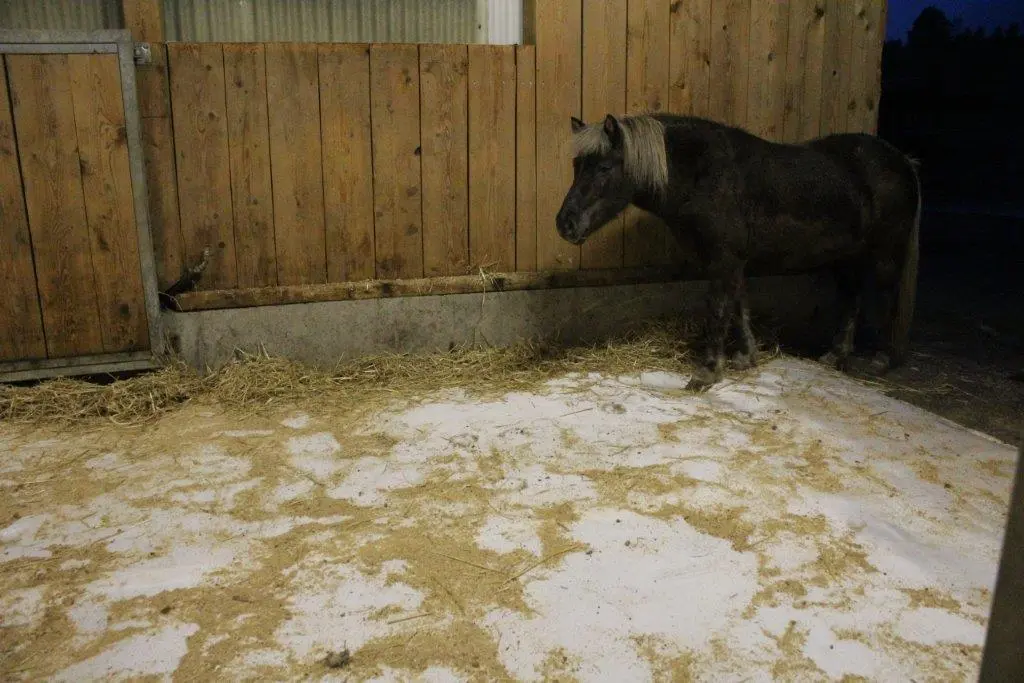 WieWiese-S&D-Montage (7).webp