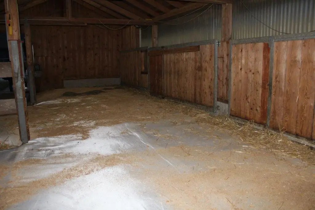 WieWiese-S&D-Montage (8).webp