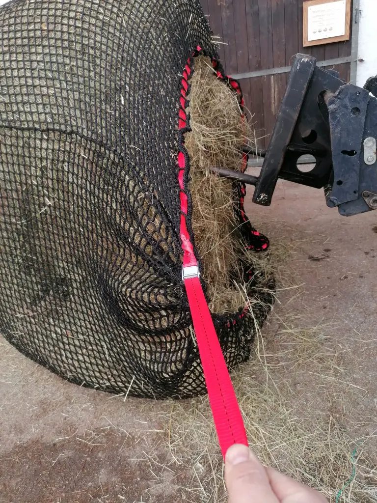 IMG_20200126_110739.webp
